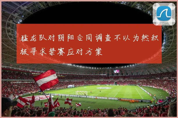 猛龙队对阴阳合同调查不以为然积极寻求禁赛应对方案