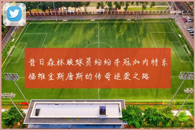 昔日森林狼球员纷纷夺冠加内特乐福维金斯唐斯的传奇逆袭之路